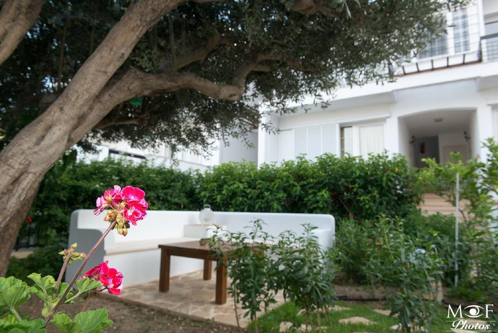 Hotel Elena Alinda  Exterior photo